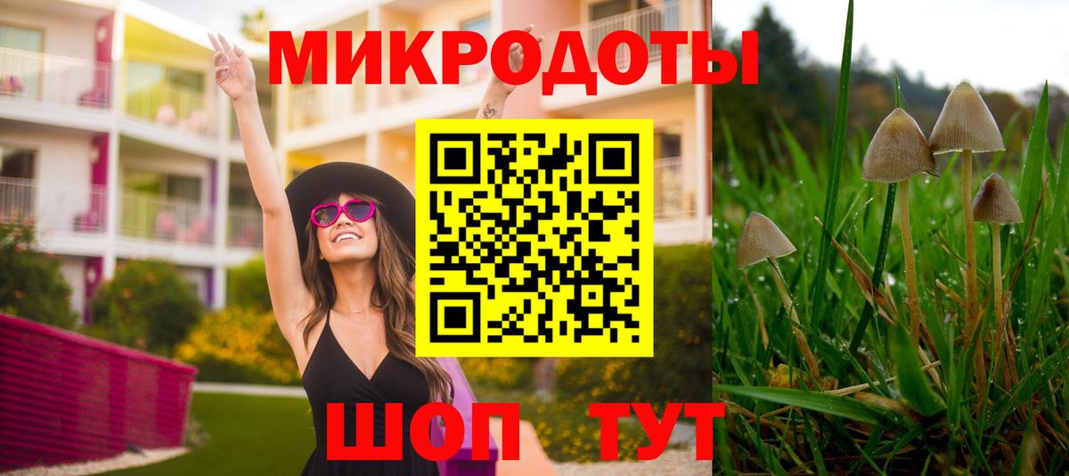 Псилоцибиновые грибы GOLDEN TEACHER Новосибирск