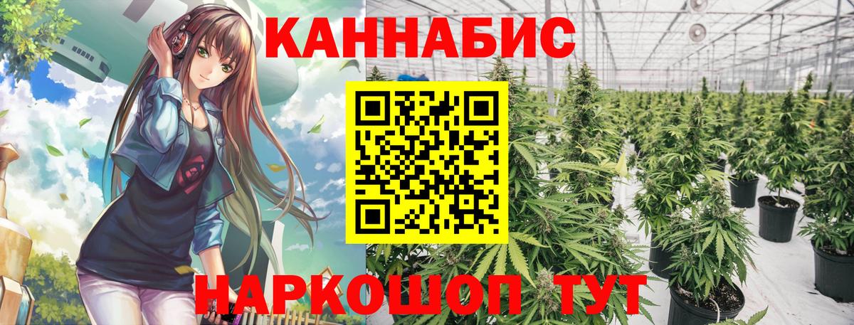 Каннабис индика  Вход с VPN  Новосибирск  Каннабис ГИДРОПОН  Конопля семена  Шишки марихуана LSD WEED 